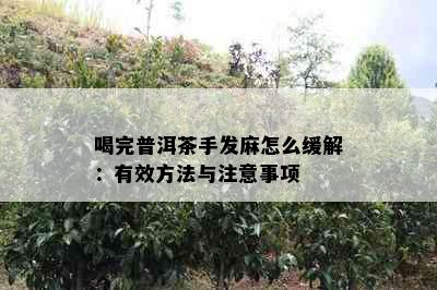 喝完普洱茶手发麻怎么缓解：有效方法与注意事项