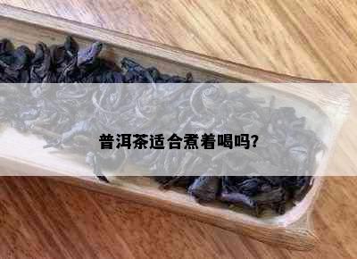 普洱茶适合煮着喝吗？