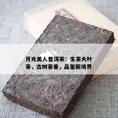 月光美人普洱茶：生茶大叶茶，古树茶香，品鉴新境界