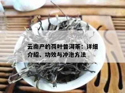 云南产的荷叶普洱茶：详细介绍、功效与冲泡方法