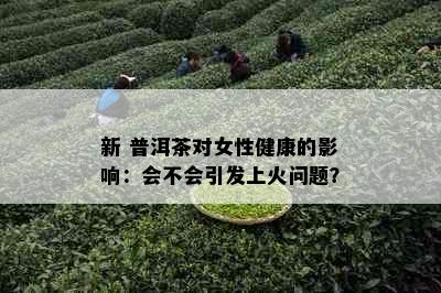 新 普洱茶对女性健康的影响：会不会引发上火问题？