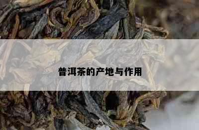 普洱茶的产地与作用