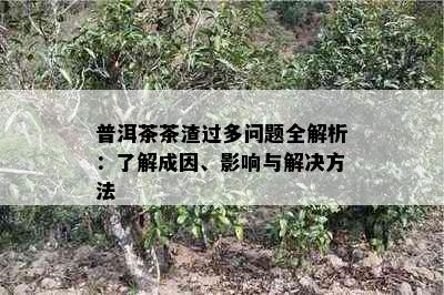 普洱茶茶渣过多问题全解析：了解成因、影响与解决方法