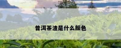 普洱茶渣是什么颜色