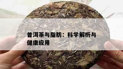 普洱茶与脂肪：科学解析与健康应用