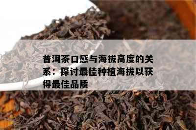 普洱茶口感与海拔高度的关系：探讨更佳种植海拔以获得更佳品质