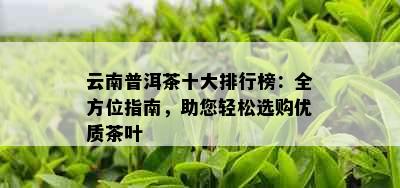 云南普洱茶十大排行榜：全方位指南，助您轻松选购优质茶叶