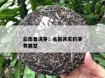 云南普洱茶：名副其实的茶界翘楚