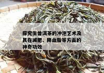 探究生普洱茶的冲泡艺术及其在减肥、降血脂等方面的神奇功效