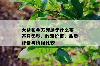 大益铂金方砖属于什么茶：茶具类型、收藏价值、品质评价与价格比较