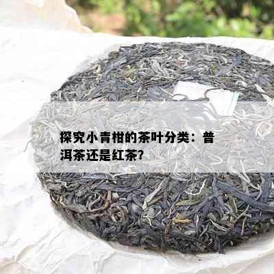 探究小青柑的茶叶分类：普洱茶还是红茶？