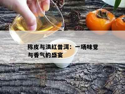 陈皮与滇红普洱：一场味觉与香气的盛宴