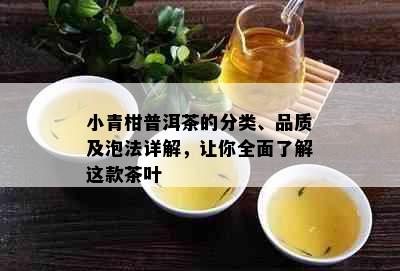 小青柑普洱茶的分类、品质及泡法详解，让你全面了解这款茶叶