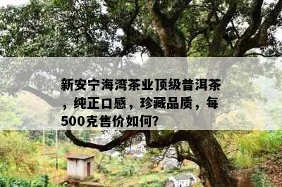 新安宁海湾茶业顶级普洱茶，纯正口感，珍藏品质，每500克售价如何？