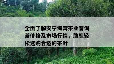 全面了解安宁海湾茶业普洱茶价格及市场行情，助您轻松选购合适的茶叶