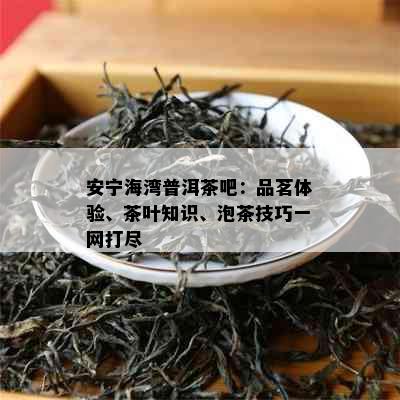 安宁海湾普洱茶吧：品茗体验、茶叶知识、泡茶技巧一网打尽