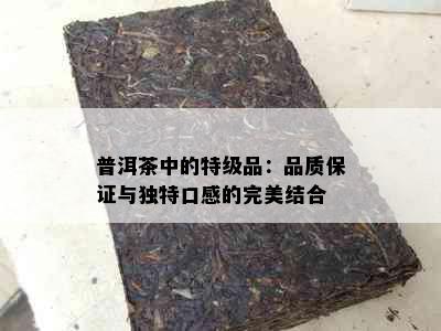 普洱茶中的特级品：品质保证与独特口感的完美结合