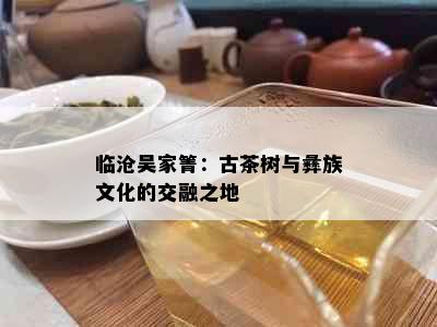 临沧吴家箐：古茶树与彝族文化的交融之地