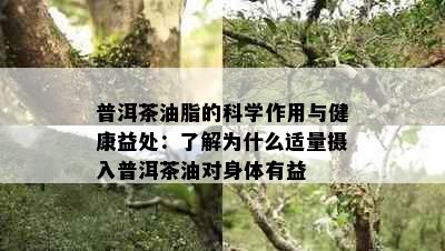 普洱茶油脂的科学作用与健康益处：了解为什么适量摄入普洱茶油对身体有益