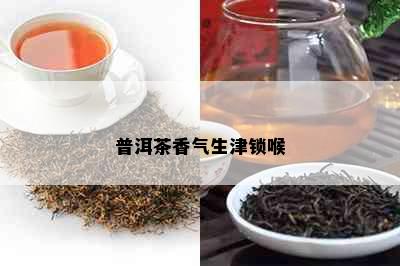 普洱茶香气生津锁喉