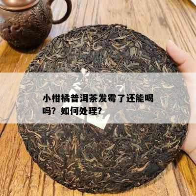 小柑橘普洱茶发霉了还能喝吗？如何处理？