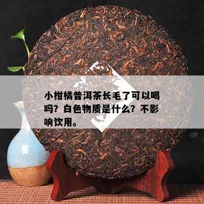 小柑橘普洱茶长毛了可以喝吗？白色物质是什么？不影响饮用。