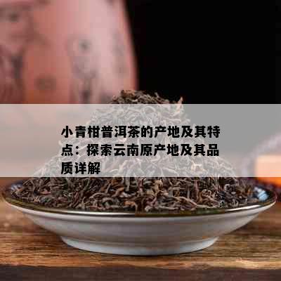 小青柑普洱茶的产地及其特点：探索云南原产地及其品质详解