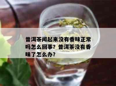 普洱茶闻起来没有香味正常吗怎么回事？普洱茶没有香味了怎么办？