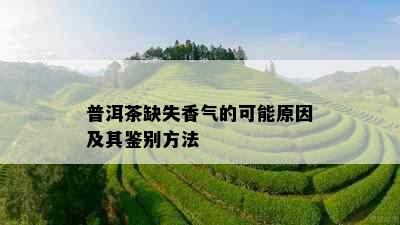 普洱茶缺失香气的可能原因及其鉴别方法