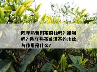 陈年熟普洱茶值钱吗？能喝吗？陈年熟茶普洱茶的功效与作用是什么？