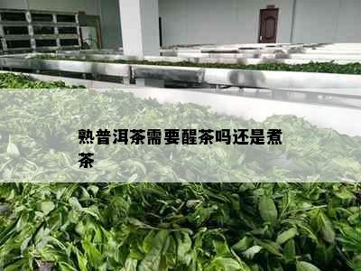 熟普洱茶需要醒茶吗还是煮茶