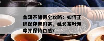 普洱茶储藏全攻略：如何正确保存普洱茶，延长茶叶寿命并保持口感？