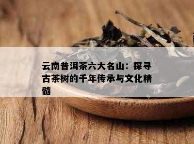 云南普洱茶六大名山：探寻古茶树的千年传承与文化精髓