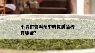 小青柑普洱茶中的优质品种有哪些？