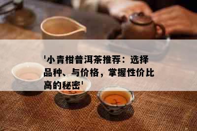 '小青柑普洱茶推荐：选择品种、与价格，掌握性价比高的秘密'