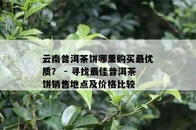 云南普洱茶饼哪里购买更优质？ - 寻找更佳普洱茶饼销售地点及价格比较