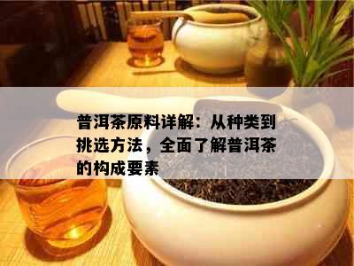 普洱茶原料详解：从种类到挑选方法，全面了解普洱茶的构成要素