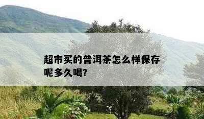 超市买的普洱茶怎么样保存呢多久喝？