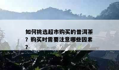 如何挑选超市购买的普洱茶？购买时需要注意哪些因素？