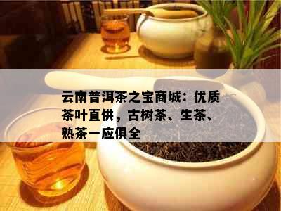 云南普洱茶之宝商城：优质茶叶直供，古树茶、生茶、熟茶一应俱全