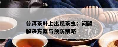 普洱茶叶上出现茶虫：问题解决方案与预防策略