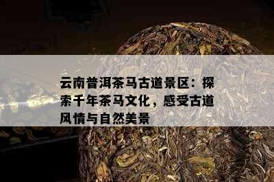 云南普洱茶马古道景区：探索千年茶马文化，感受古道风情与自然美景