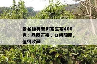 景谷经典普洱茶生茶400克：品质正宗，口感醇厚，值得收藏