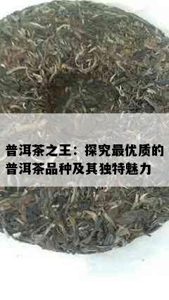 普洱茶之王：探究更优质的普洱茶品种及其独特魅力