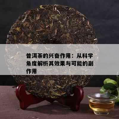 普洱茶的兴奋作用：从科学角度解析其效果与可能的副作用