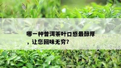 哪一种普洱茶叶口感最醇厚，让您回味无穷？