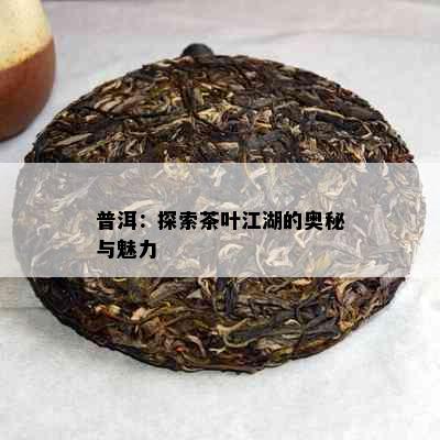 普洱：探索茶叶江湖的奥秘与魅力