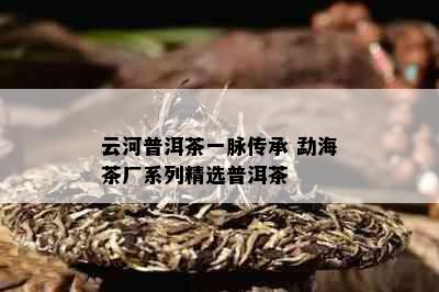 云河普洱茶一脉传承 勐海茶厂系列精选普洱茶