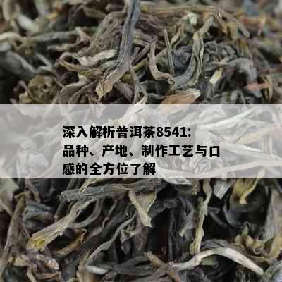 深入解析普洱茶8541:品种、产地、制作工艺与口感的全方位了解