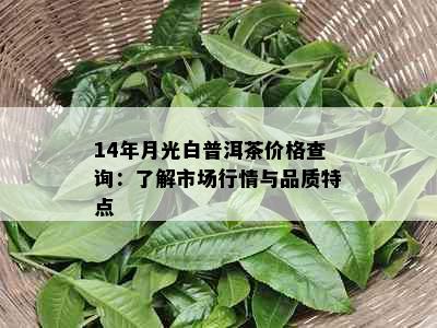 14年月光白普洱茶价格查询：了解市场行情与品质特点